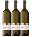 3 Flaschen Petite Arvine du Valais AOC